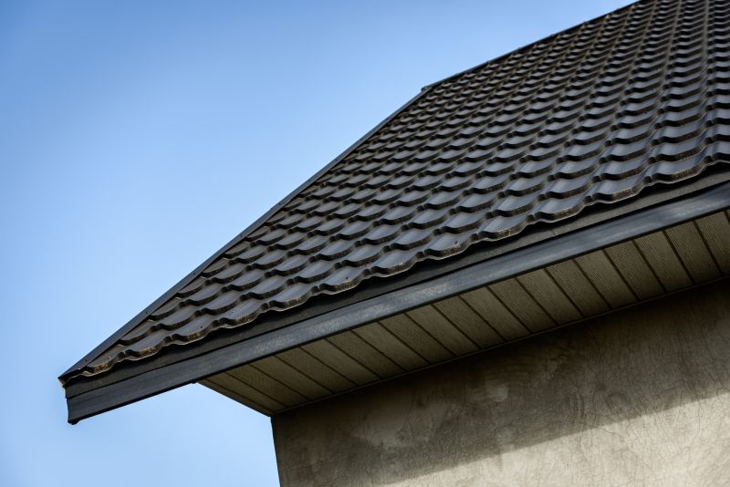 House Roof Repair detail